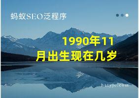 1990年11月出生现在几岁