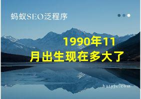 1990年11月出生现在多大了