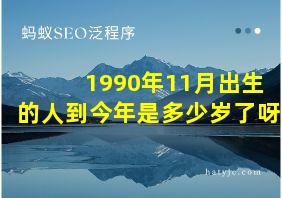 1990年11月出生的人到今年是多少岁了呀