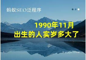 1990年11月出生的人实岁多大了