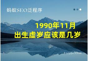 1990年11月出生虚岁应该是几岁