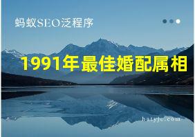 1991年最佳婚配属相