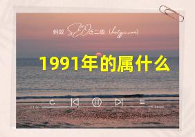 1991年的属什么