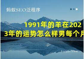 1991年的羊在2023年的运势怎么样男每个月