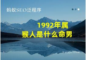 1992年属猴人是什么命男