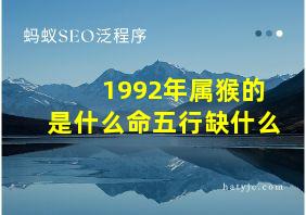 1992年属猴的是什么命五行缺什么