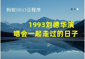 1993刘德华演唱会一起走过的日子