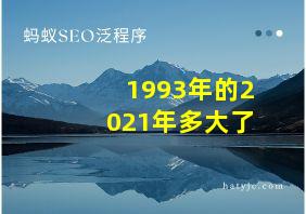 1993年的2021年多大了