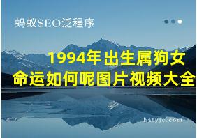 1994年出生属狗女命运如何呢图片视频大全