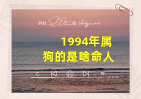 1994年属狗的是啥命人