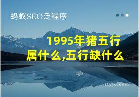 1995年猪五行属什么,五行缺什么