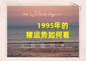 1995年的猪运势如何看