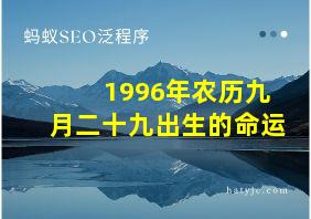 1996年农历九月二十九出生的命运