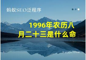 1996年农历八月二十三是什么命