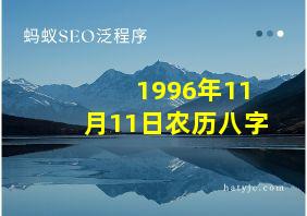 1996年11月11日农历八字