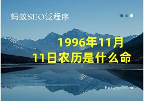 1996年11月11日农历是什么命