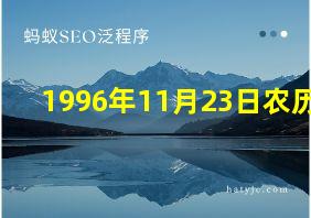 1996年11月23日农历