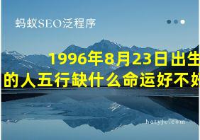 1996年8月23日出生的人五行缺什么命运好不好