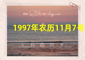 1997年农历11月7号