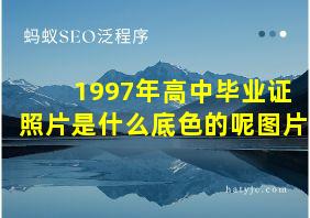 1997年高中毕业证照片是什么底色的呢图片