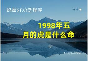 1998年五月的虎是什么命