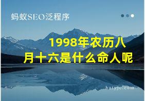 1998年农历八月十六是什么命人呢