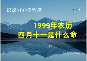 1999年农历四月十一是什么命