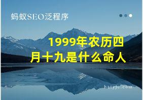 1999年农历四月十九是什么命人