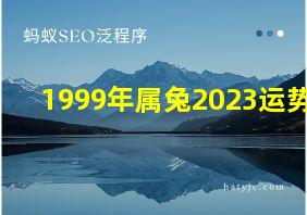 1999年属兔2023运势