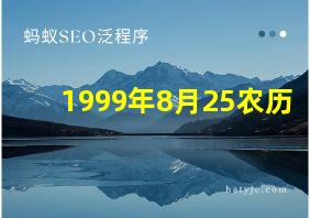 1999年8月25农历