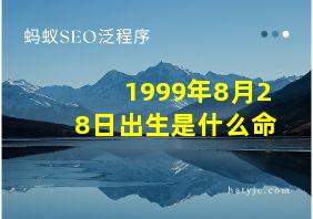 1999年8月28日出生是什么命