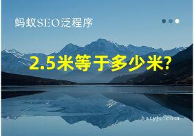 2.5米等于多少米?