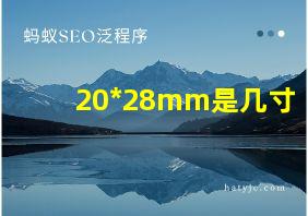 20*28mm是几寸