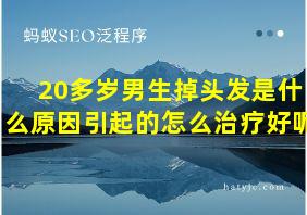 20多岁男生掉头发是什么原因引起的怎么治疗好呢