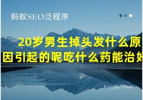 20岁男生掉头发什么原因引起的呢吃什么药能治好