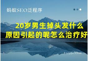 20岁男生掉头发什么原因引起的呢怎么治疗好