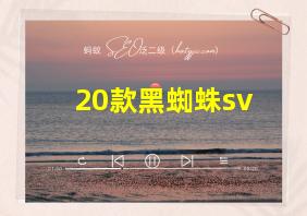 20款黑蜘蛛sv