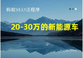 20-30万的新能源车