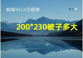 200*230被子多大