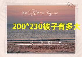 200*230被子有多大