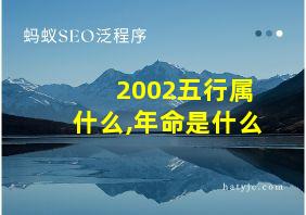 2002五行属什么,年命是什么