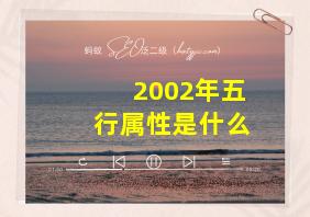 2002年五行属性是什么