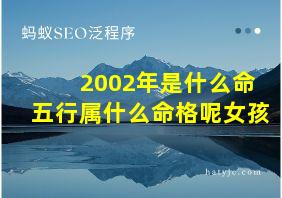 2002年是什么命五行属什么命格呢女孩