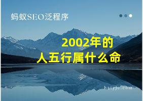 2002年的人五行属什么命