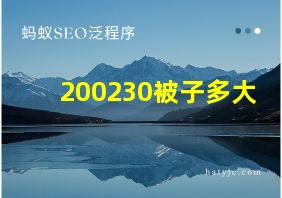 200230被子多大