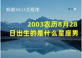 2003农历8月28日出生的是什么星座男