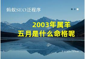 2003年属羊五月是什么命格呢