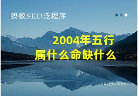 2004年五行属什么命缺什么