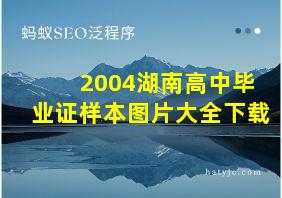 2004湖南高中毕业证样本图片大全下载