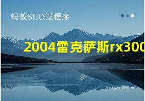 2004雷克萨斯rx300